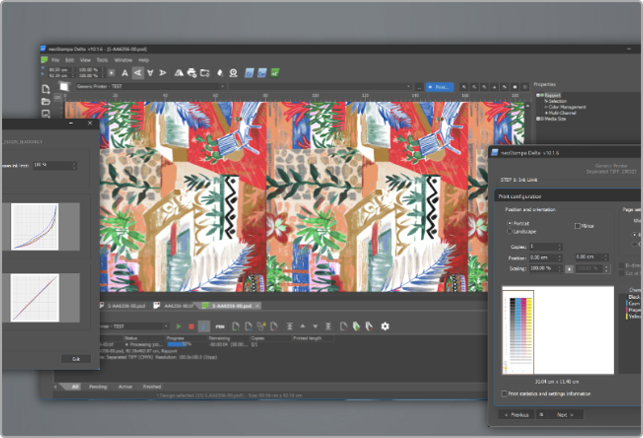 neoStampa's color management engine ensures accurate and consistent color reproduction. This is crucial for achieving high-quality prints with vibrant and true-to-life colors.