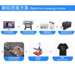 Digital T Shirt Textile Printing Machine Heat PET Film DTF Printer With Powder Shake Machine